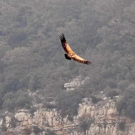 Parcodellatimpa شاليه