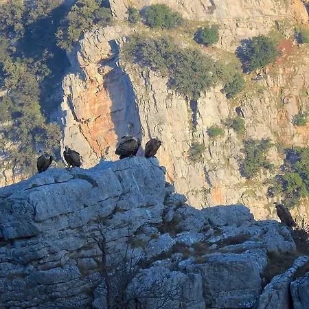 Chalet Parcodellatimpa Civita