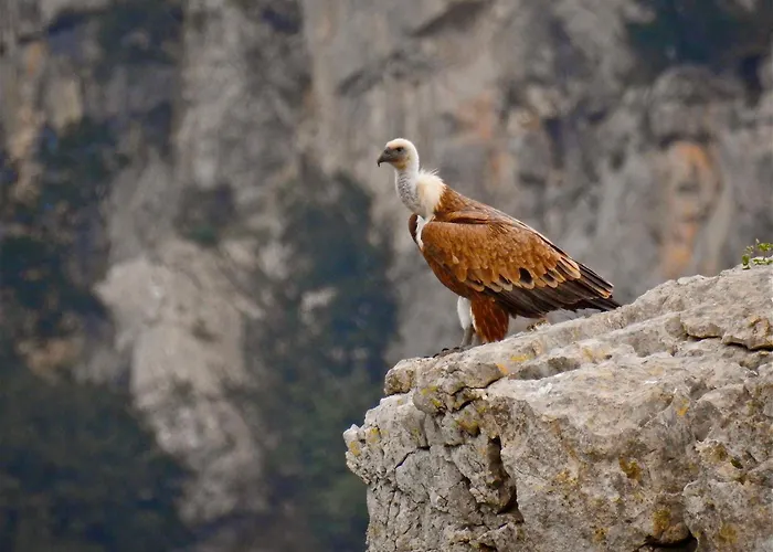 木屋 Parcodellatimpa *