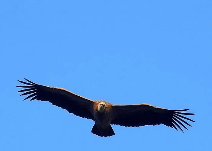 木屋 Parcodellatimpa 奇维塔