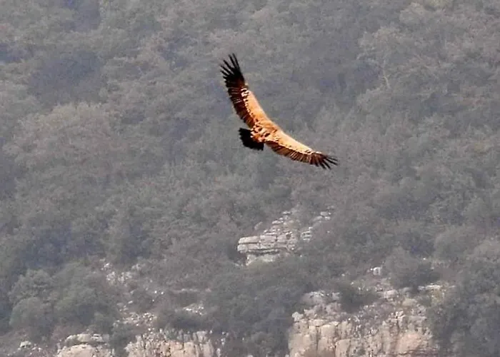 Parcodellatimpa Chalet