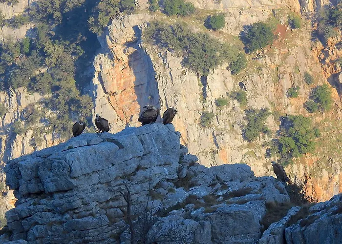 木屋 Parcodellatimpa 奇维塔